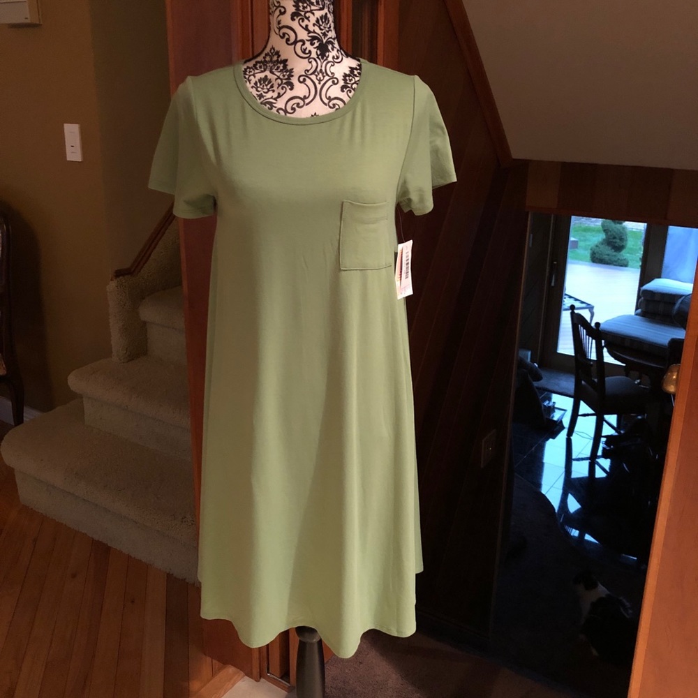 LulaRoe Carly Dress
